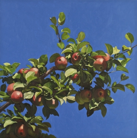 Apple Branch