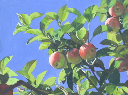 Apples in the Sky