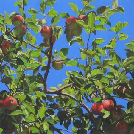 August Apples
