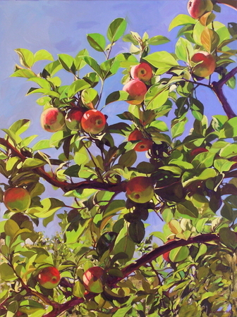 In The Orchard - Sainte-Benoit du Lac