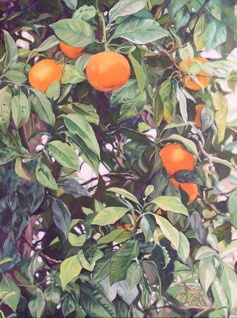 Orange and Greens
